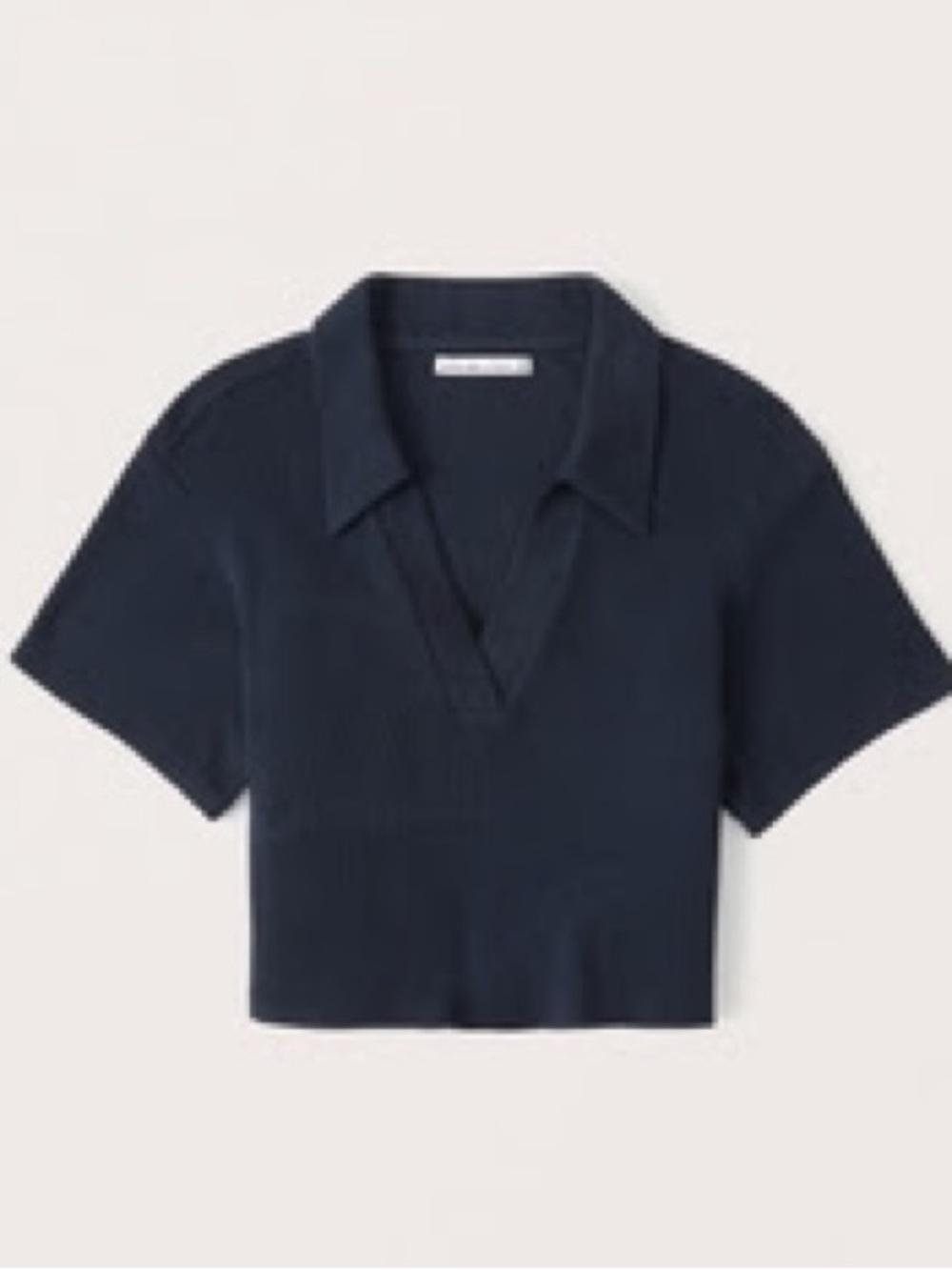 Abercrombie cozy rib polo in navy